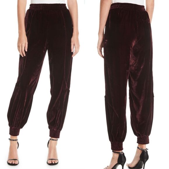 🆕 7 For All Mankind velvet jogger-style track pants - Picture 3 of 9